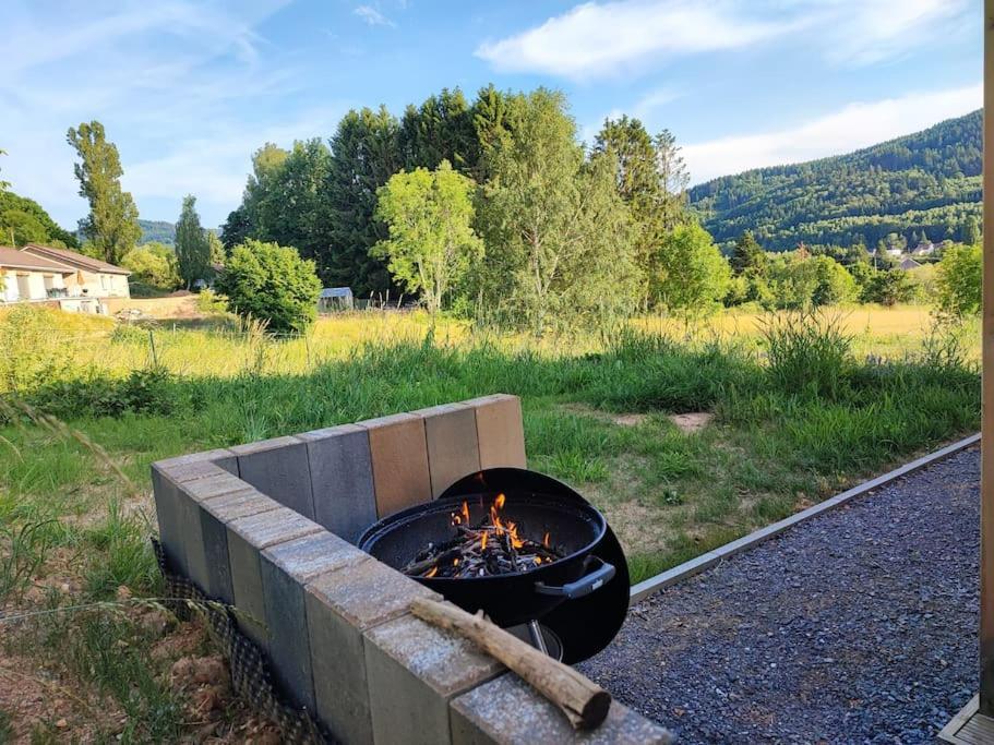 Chalet Les Boudieres 6 Pers Pres Gerardmer Cosy Billard Fraize エクステリア 写真