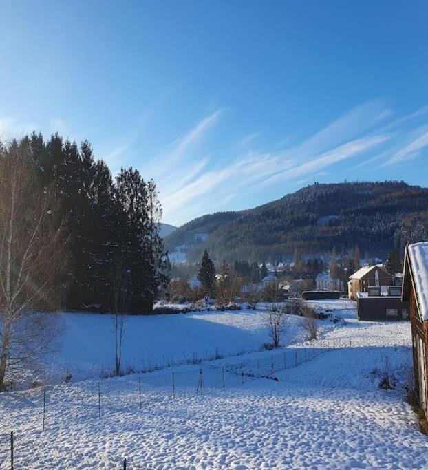 Chalet Les Boudieres 6 Pers Pres Gerardmer Cosy Billard Fraize エクステリア 写真